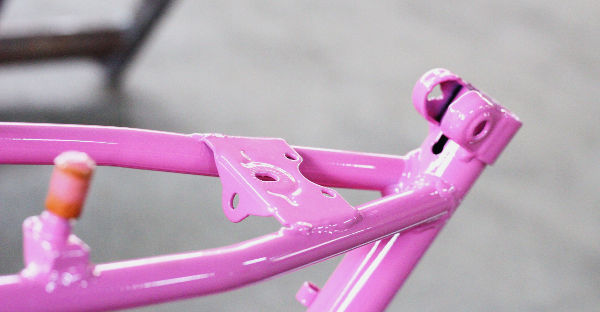 foto 3 Telai Bicicletta